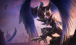quinn-splash.jpg