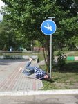 picdump2015.jpg