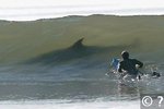 hai,surfer.jpg