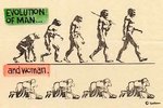 evolution2.jpg