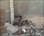 1831.gif