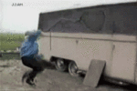 3620.gif