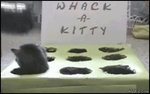 Whack_a_kitty.jpg
