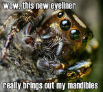 opo-bronze-lake-jumper-eyel.jpg