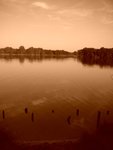 dscn9154.jpg