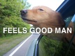 FEELS%2BGOOD%2BMAN%2BDOG%2BTEXT.jpg
