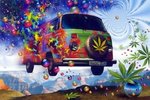 hippiebus.jpg