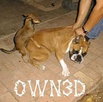 owned-7708.jpg