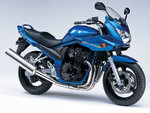 SuzukiBandit6502005-5774-015-f.jpg