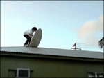 roofsurf.gif