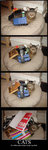 cats20.jpg