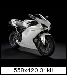 ducati-superbike-1198vu7l.jpg