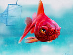 its_a_trap_by_quasilucid-d32ut0m.jpg