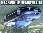 Meanwhile_in_Australia0-size-600x0.jpg