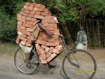 picdump_335_19nflb.jpg