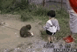 fFGtn.gif