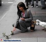 lustiges_bild_achtungtrickdiebe.jpg