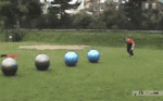 e467d360c65f09231a9472e7d61fe916.gif