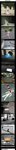 8592_b61d.jpeg
