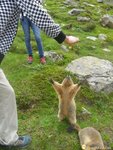 picture_567206.jpg