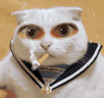 35a2lhu.gif