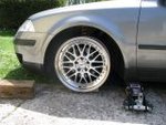 3imlyq77.jpg