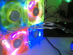 foto584dn3.jpg