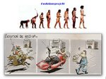dieevolutiongehtweitep6afa.jpg