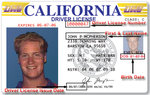 california-drivers-license.jpg