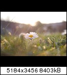 crappy_img_119579x1b.jpg