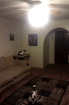 caturdaylights.gif