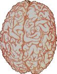 brains.gif