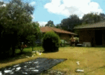 2wer34356.gif