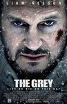 Filmplakat-Grey-The-gross.jpg