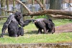zoo_0143u7g.jpg