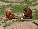 zoo_03vskqu.jpg