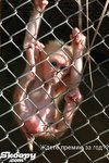zoo_0408k2y.jpg