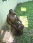 zoo_05ljj00.jpg