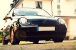 img0314lp.jpg