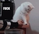 tumblr_ml8d7xlsT21qiip6uo1_400.jpg