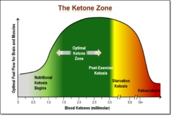 ketozone[1].png