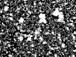 Virus-Polyhedrin-Kristalle.jpg