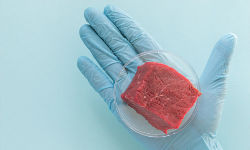 Wird-Fleisch-aus-dem-Labor-die-Ernährung-der-Zukunft.jpg