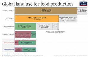 weltweiter-landflächenverbrauch-anbau-nahrungsmittel.jpg