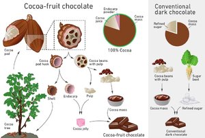 kakaofrucht-neue-schokoladenvariante.jpg