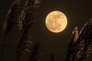 Mond fotografieren mit dem Handy So machst du das perfekte Foto.jpg