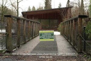 Im Augsburger Zoo haben sich vier Enten und Gänse mit dem Vogelgrippevirus infiziert drei davon.png
