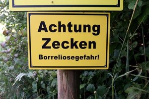 Borreliose durch Zeckenstich Symptome und Behandlung.jpeg