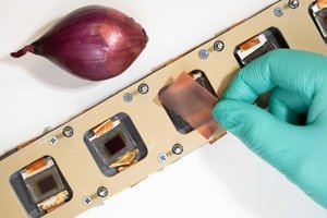 Onionskin dye may find use in greener UVprotected solar cells.jpeg