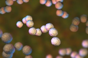 Deadly flesheating infection on the rise in the US and getting harder to kill.jpg